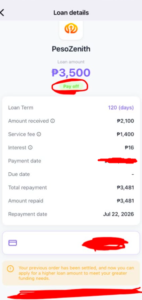 Successfully obtained a loan via the MEC Cash app.